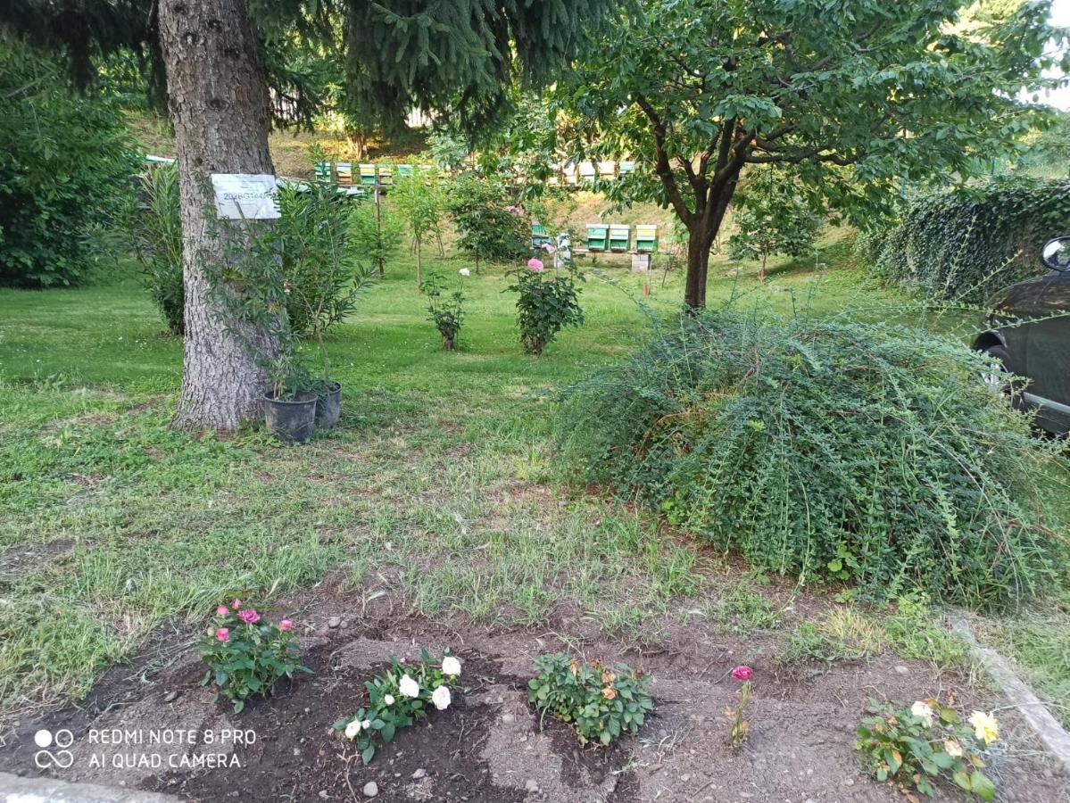 Casa Bibi Villa Bergamo Dış mekan fotoğraf